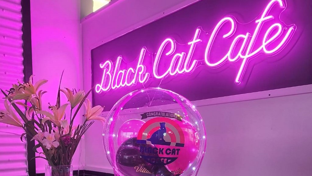 Black Cat Cafe
